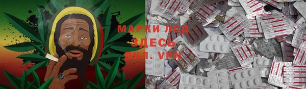 мяу мяу мука Абдулино